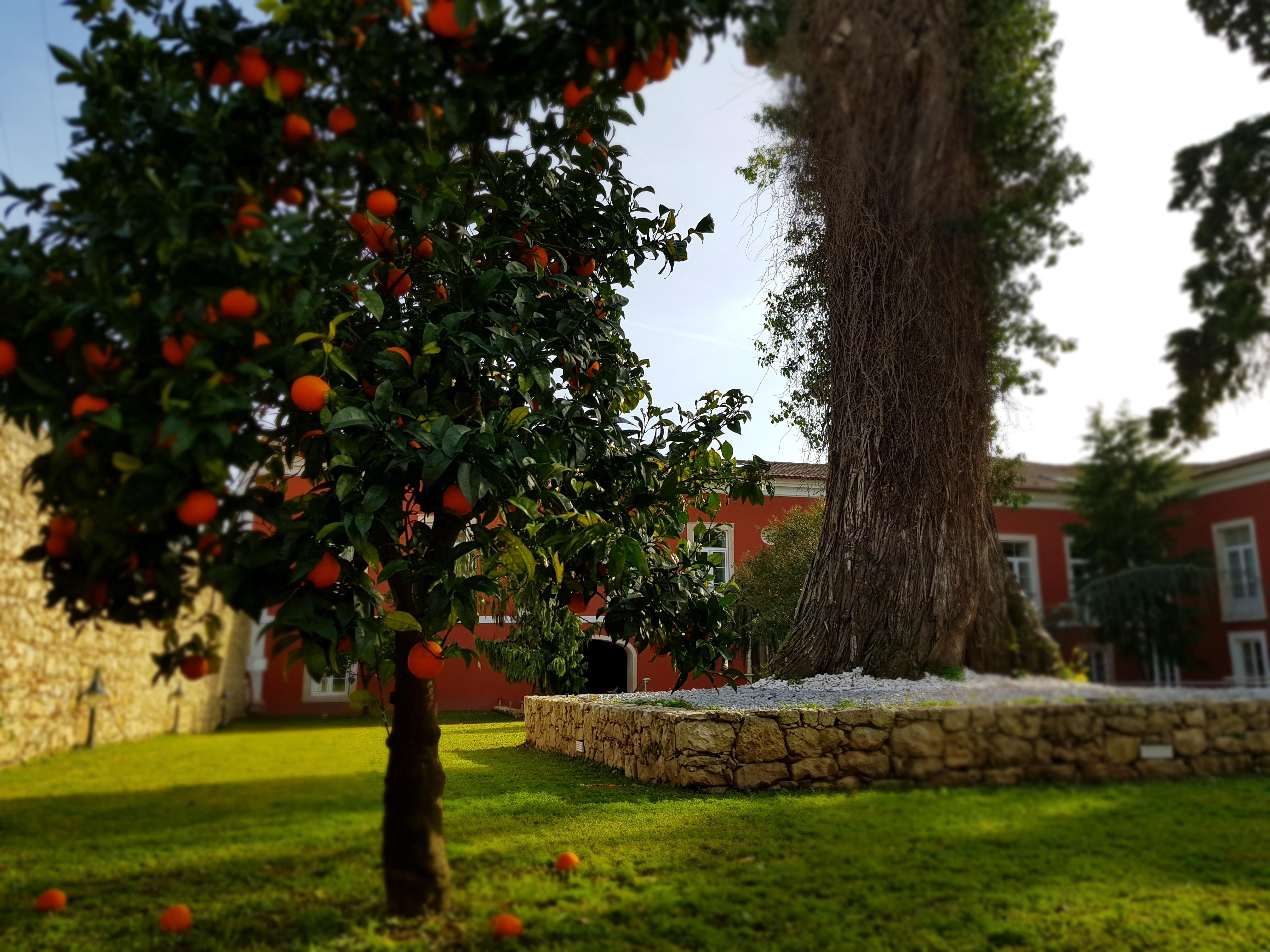 Palacio Sao Silvestre-Boutique Hotel Coimbra Zewnętrze zdjęcie